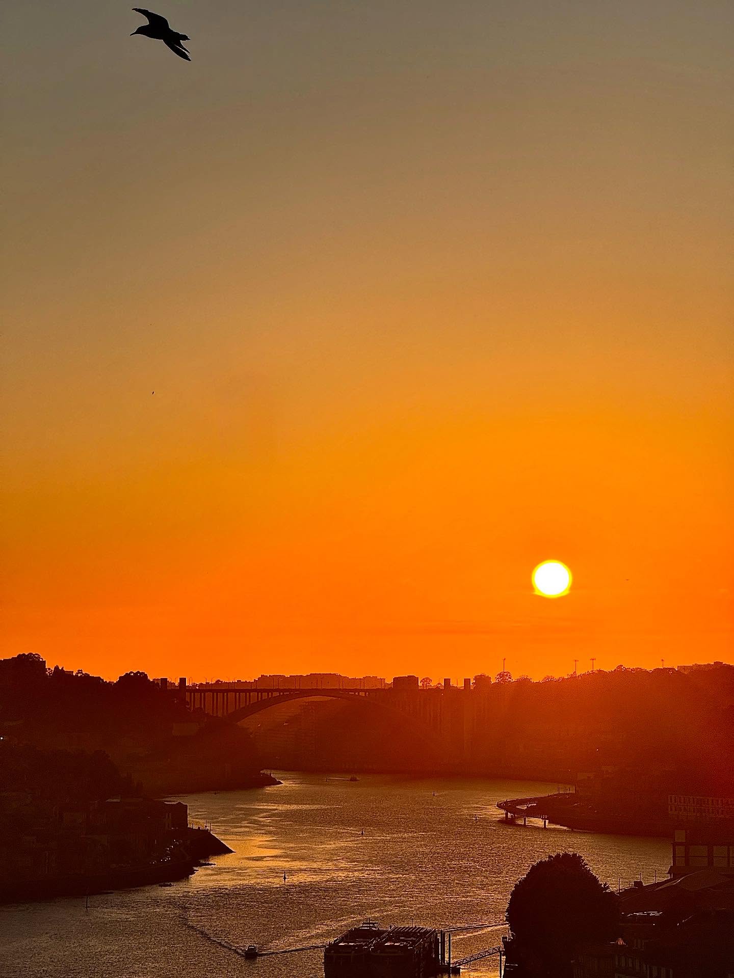Golden hour over the Douro