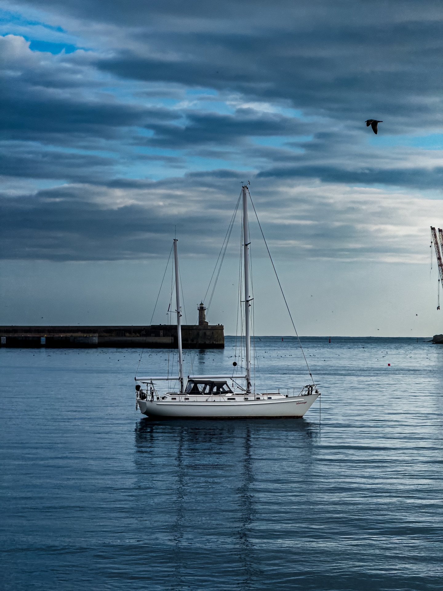 Stillness at the marina